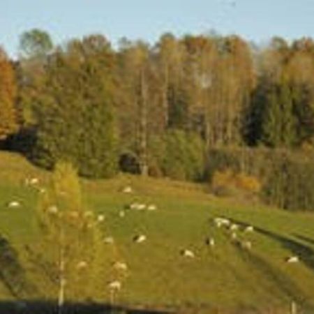 Idyllic Small Farm Appartment Tønsberg Dış mekan fotoğraf